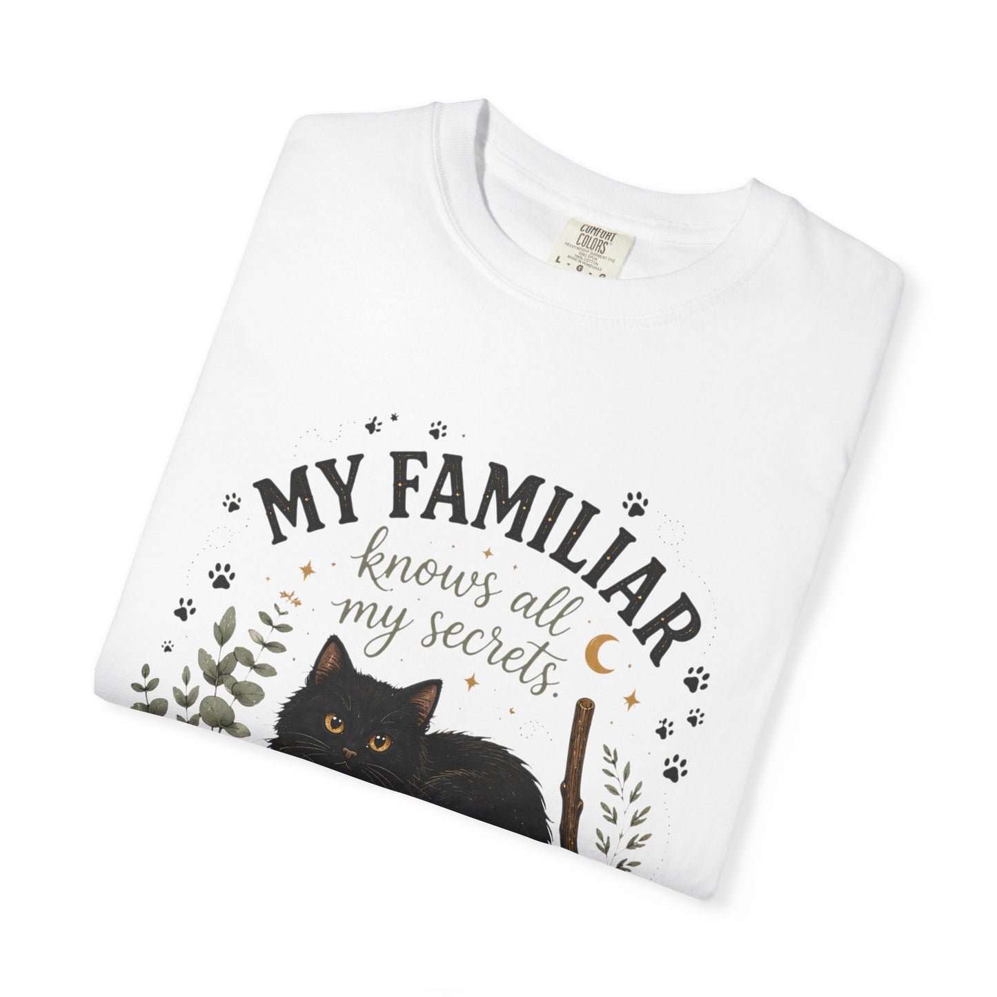 My Familiar Knows All My Secrets Black Cat Cauldron | Premium Graphic Tee