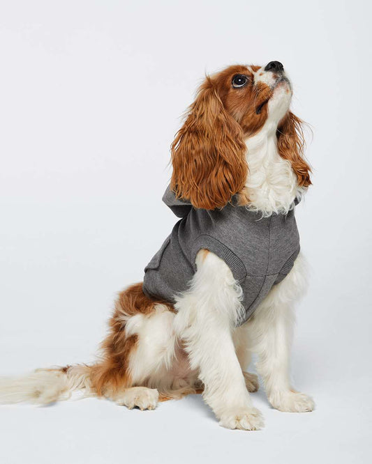 Doggie 3-End Fleece Hooded Sweatshirt