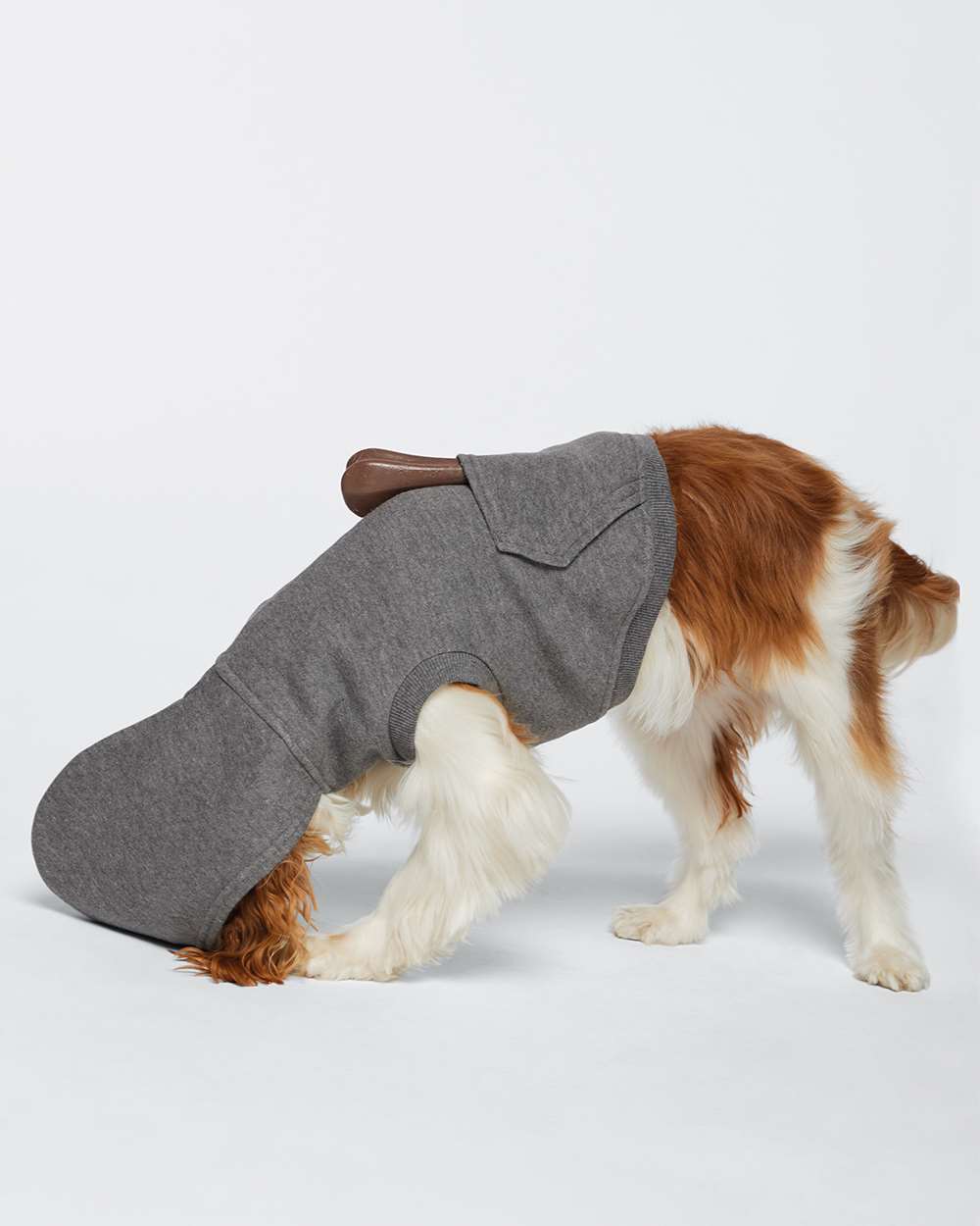 Doggie 3-End Fleece Hooded Sweatshirt