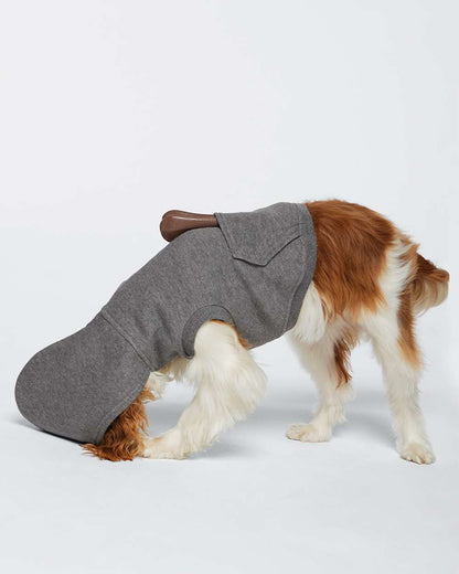 Doggie 3-End Fleece Hooded Sweatshirt