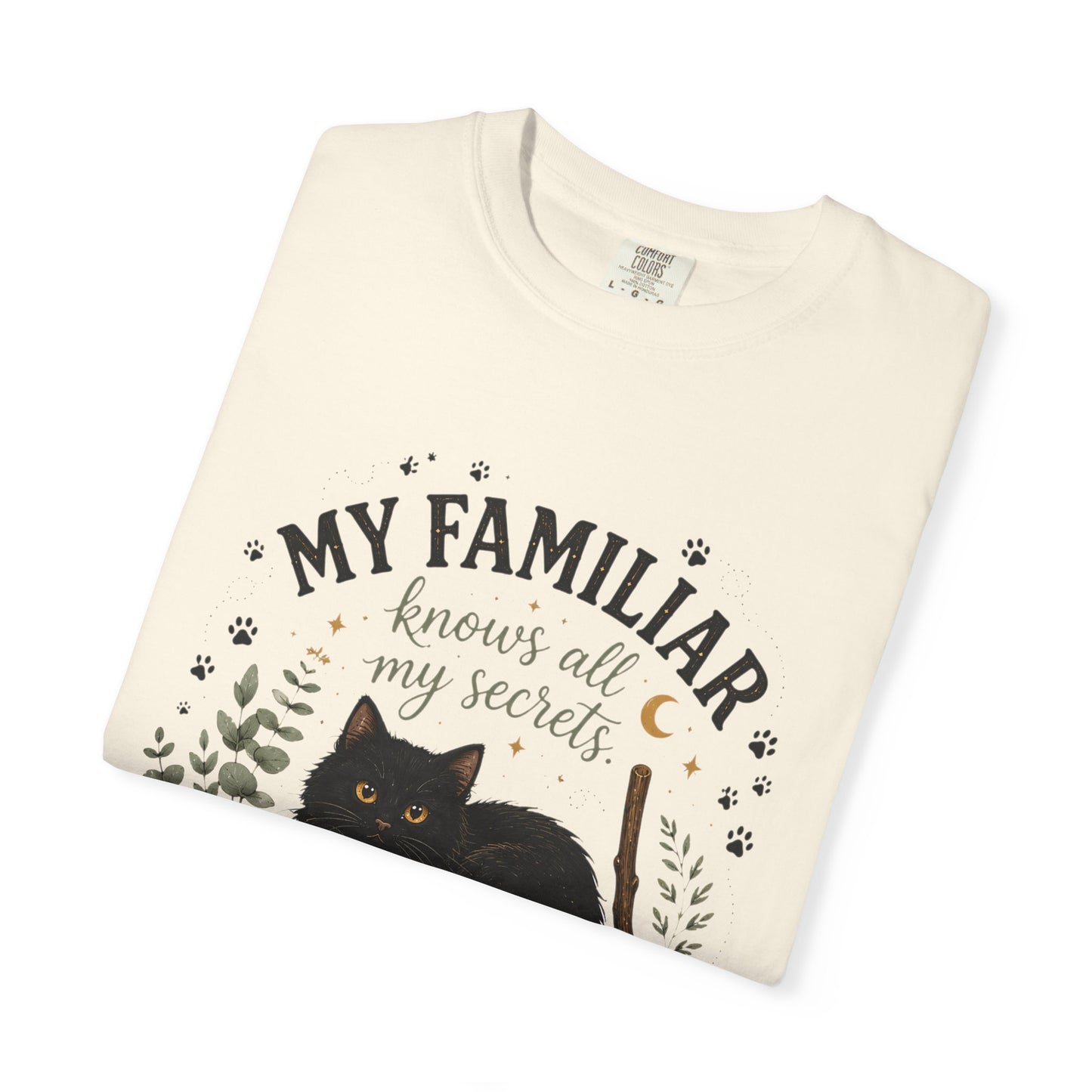 My Familiar Knows All My Secrets Black Cat Cauldron | Premium Graphic Tee
