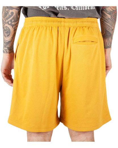 Men's Mesh PE Gym Shorts