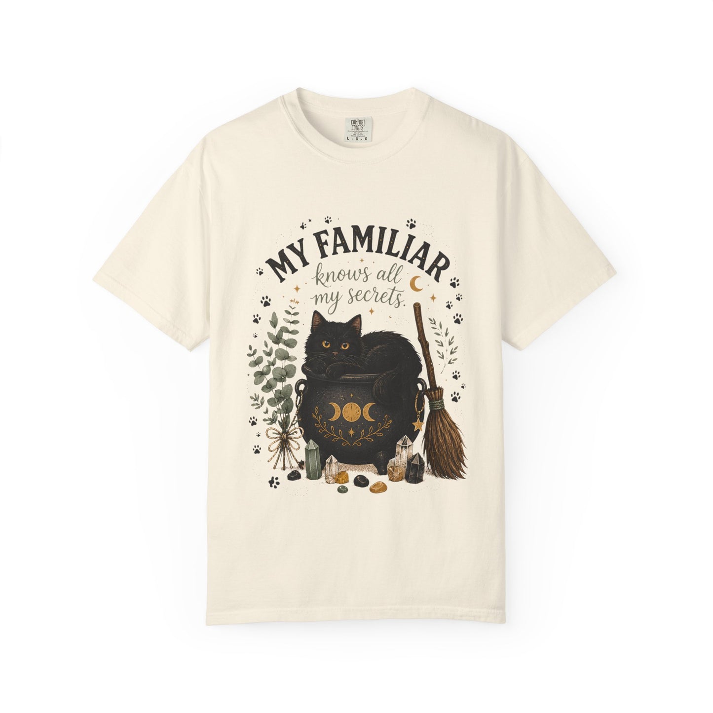 My Familiar Knows All My Secrets Black Cat Cauldron | Premium Graphic Tee