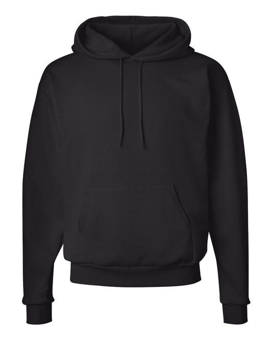 Hanes mens Pullover Ecosmart Hooded Sweatshirt, Black, Small US