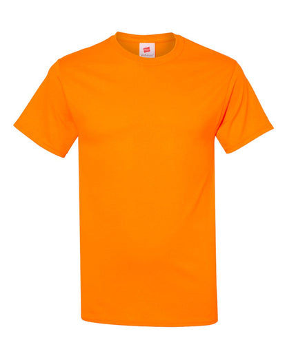 Hanes 5170 Ecosmart T-Shirt